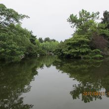 水に流れはなさそう