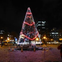 ホワイトイルミネーションにて