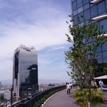 展望デッキから見える梅田スカイビル