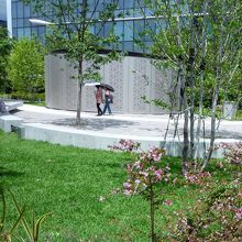 色々なルートでお散歩