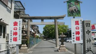 馬の神様と虫の神様