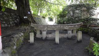 大正大噴火の凄さが分かります！