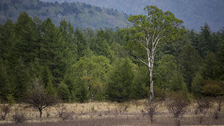 カメラマンも観光客も