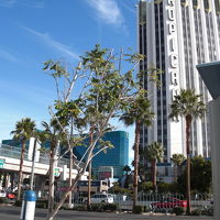 メイン通り沿い