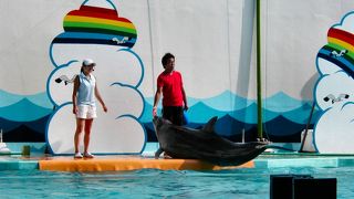 長野県民の利用が多いらしい