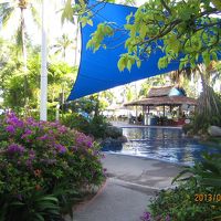 プールサイドの眺めです。