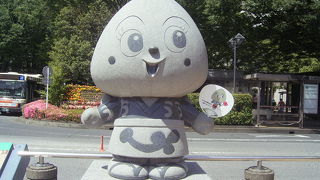 おにぎり娘のようです。