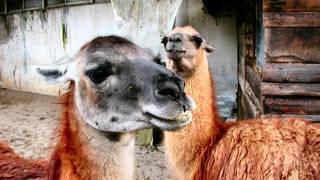 冬に行くと暖かくて良い