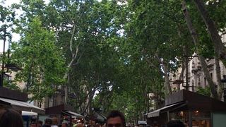 お店は11時ごろから