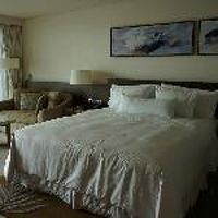 さすがのウェステイン