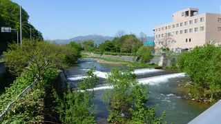 お花見もスポーツも