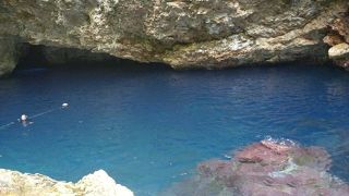 午後からでも充分楽しめます。