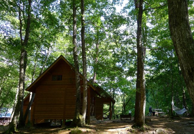 清涼感あふれる林間のキャンプ場。ログ風ハウスがおすすめです
