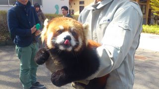 のんびりとしていていい場所