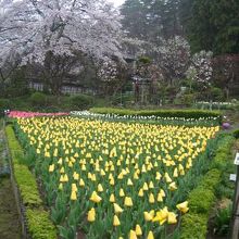 バラの季節以外でも By Mino 花巻温泉バラ園のクチコミ フォートラベル バラの季節以外でも By Mino 花巻温泉バラ園のクチコミ フォートラベル