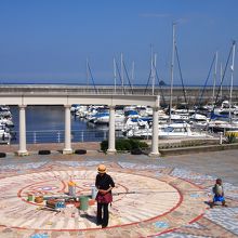 猿がショーをやってました!