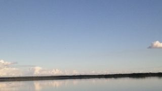 白鳥を間近で見える湖