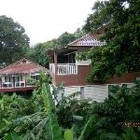 坂の途中にある