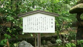 退蔵院庭園の目玉