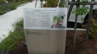 案内板があります