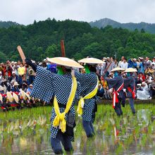 田植え風景