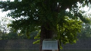 すぐに分かります