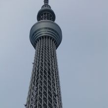 はとバスから撮った写真