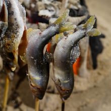 店主渾身の焼きの妙義