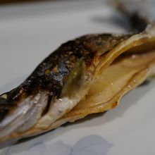 馬瀬川天然アマゴ塩焼