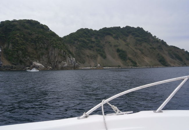 自然に囲まれた常神半島