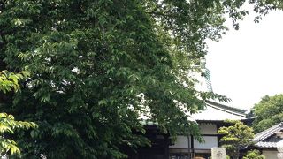 カナダジではありません