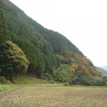 2007年10月30日。晩秋の色はこんな感じ。