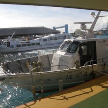 ニューはてるま