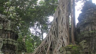 自然の偉大な力