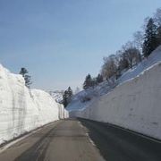 ゴールデンウィークは雪の回廊が見られます