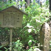 大澤坂の石畳は、江戸時代の苔むした石畳が一番良く残っている所です。