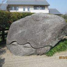 亀に見えるのか