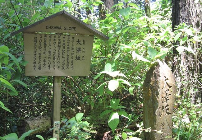 大澤坂の石畳は、江戸時代の苔むした石畳が一番良く残っている所です。