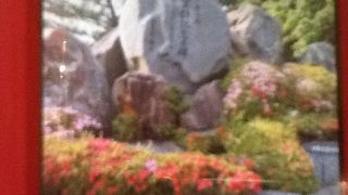 屋久島に行ったら立ち寄るべし！世界遺産登録記念の碑も近くにあるよ！