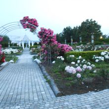 丘の広場?園内にはベンチもあります。