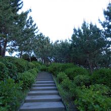 お散歩道?