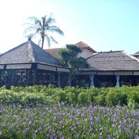 こちらでビュッフェの朝食を頂きました。鯉が泳いでいました