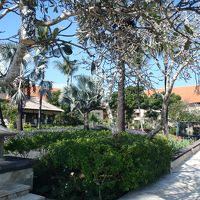 敷地内はとても綺麗。たくさん歩きました。