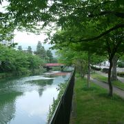 琵琶湖疏水沿いの散策路