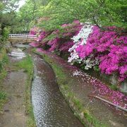 美しい公園