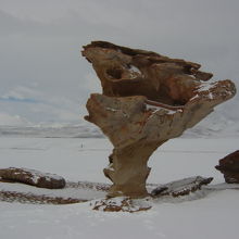 雪景色の中の、石の木