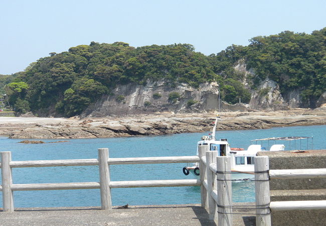 竜串海中公園