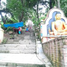 長い階段のその先には