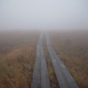 八幡平山頂遊歩道 