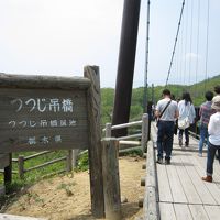 つつじ吊橋 写真